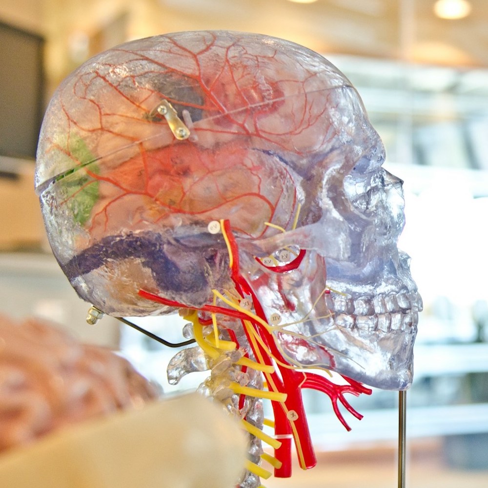 page-brain-injury Brain Injuries